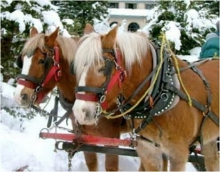 ДОСТУПНЫЕ ТУРЫ В КАРПАТЫ